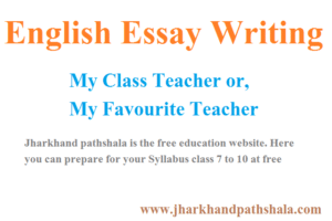 essay for class 10 pdf