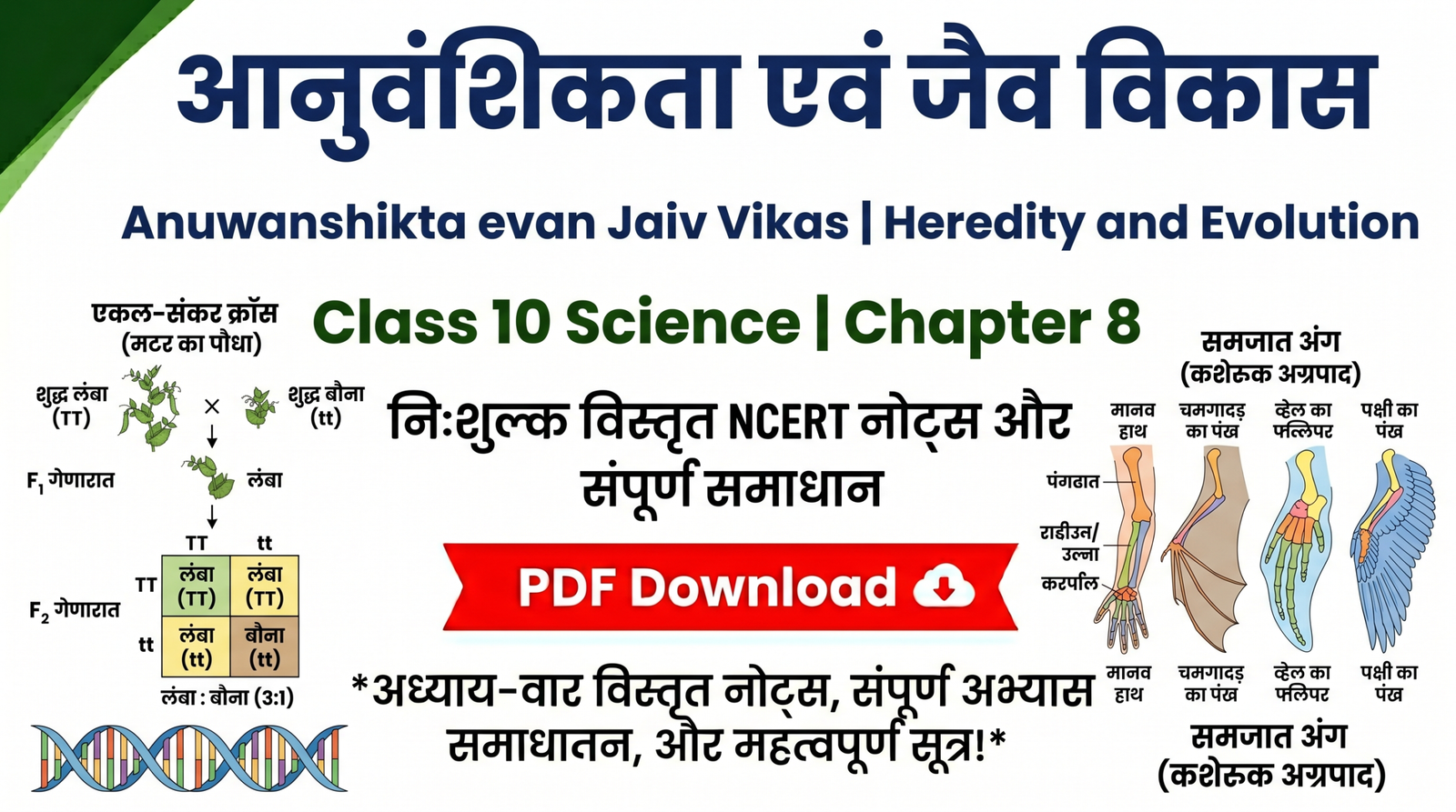 Anuwanshikta evan Jaiv Vikas Class 10 Science chapter 8