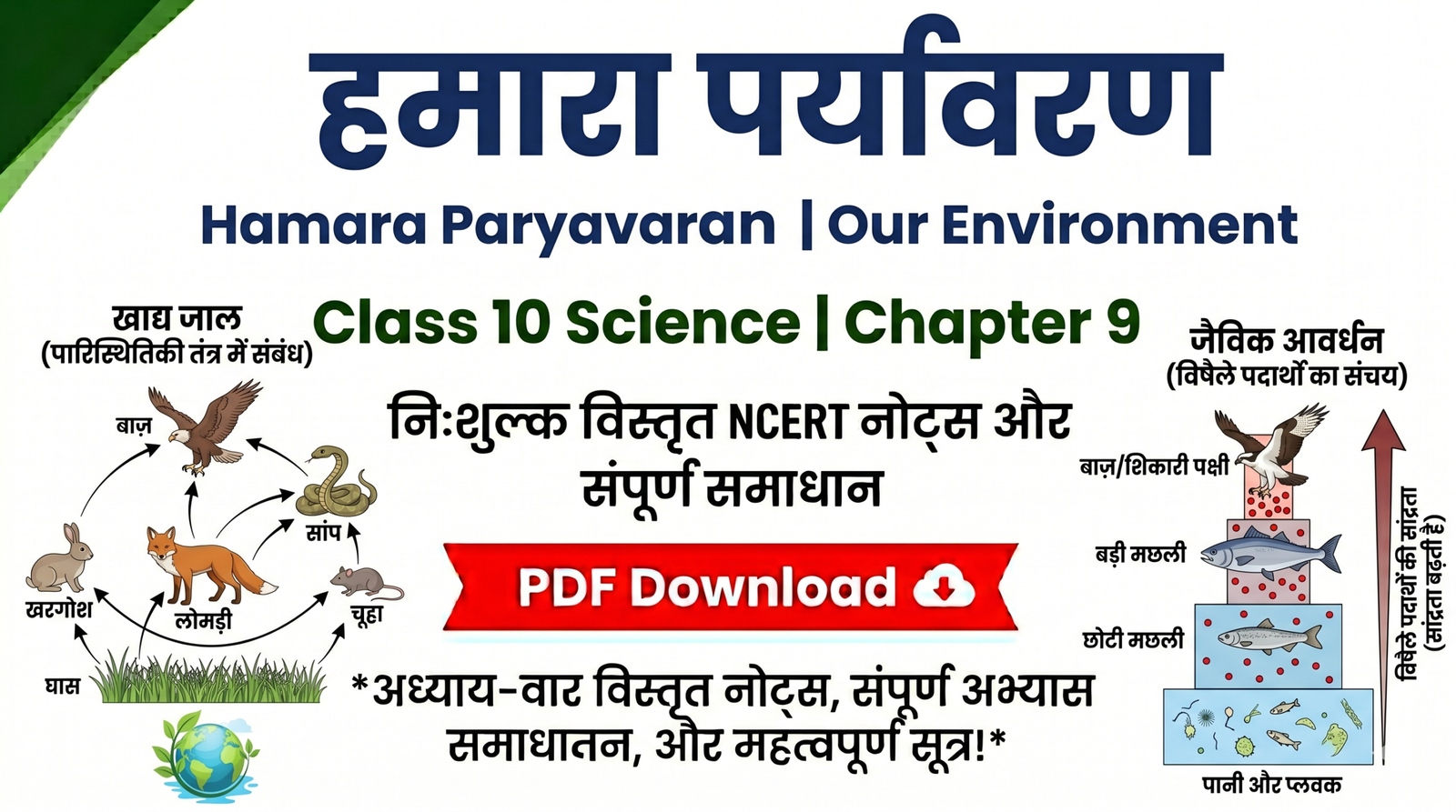 Hamara Paryavaran Class 10 Science Chapter 9