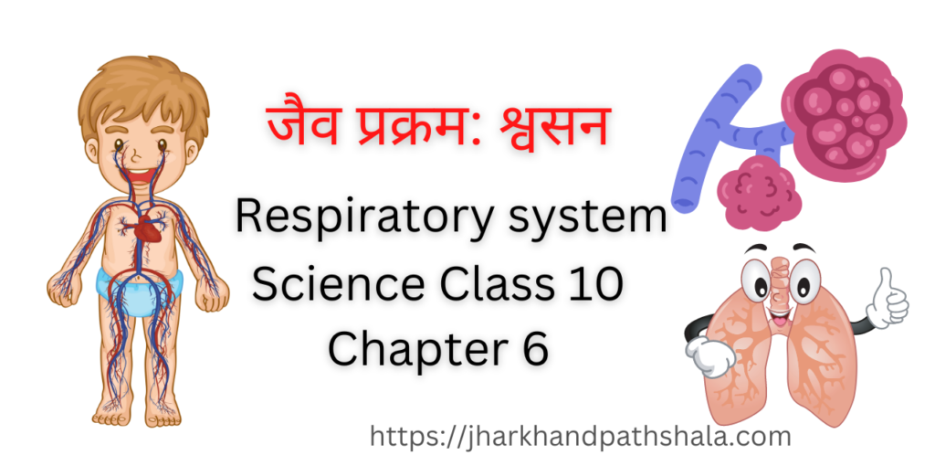 Jaiv Prakram Swasan Class 10 Science Chapter 6