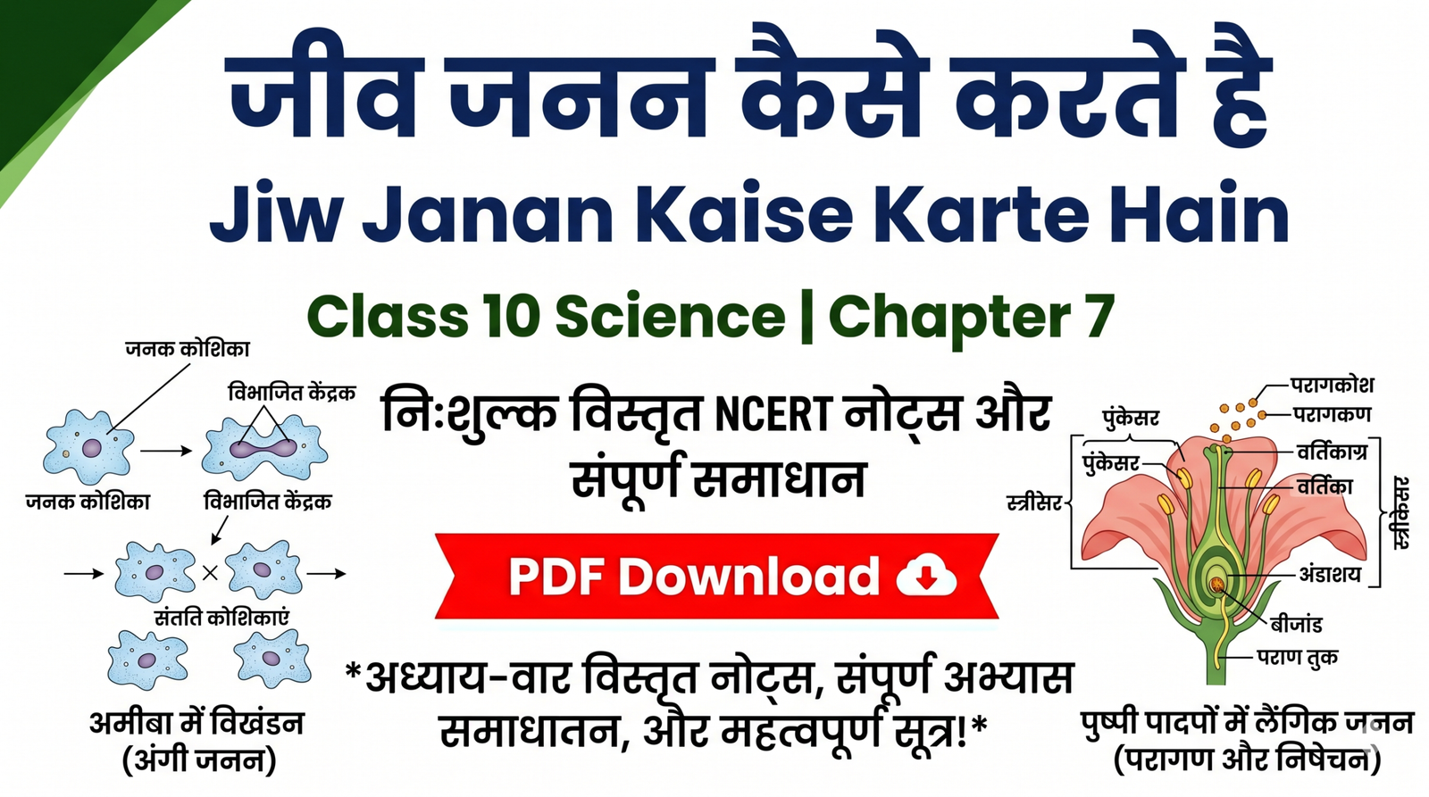 जीव जनन कैसे करते है Jiw Janan Kaise Karte Hain Class 10 Science Chapter 7