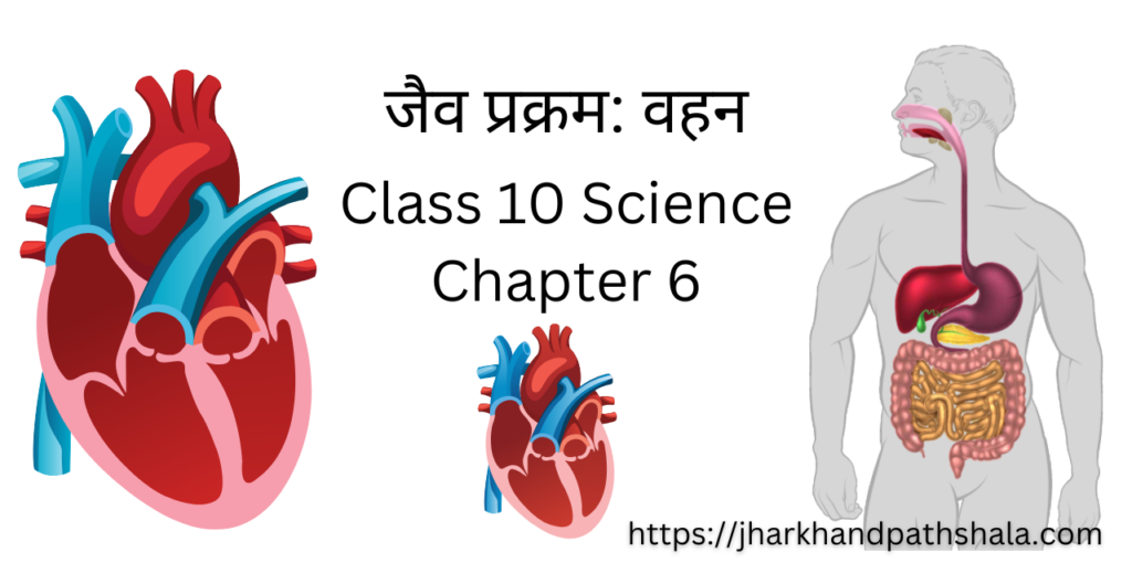 Jaiv Prakram Vahan Class 10 Science Chapter 6