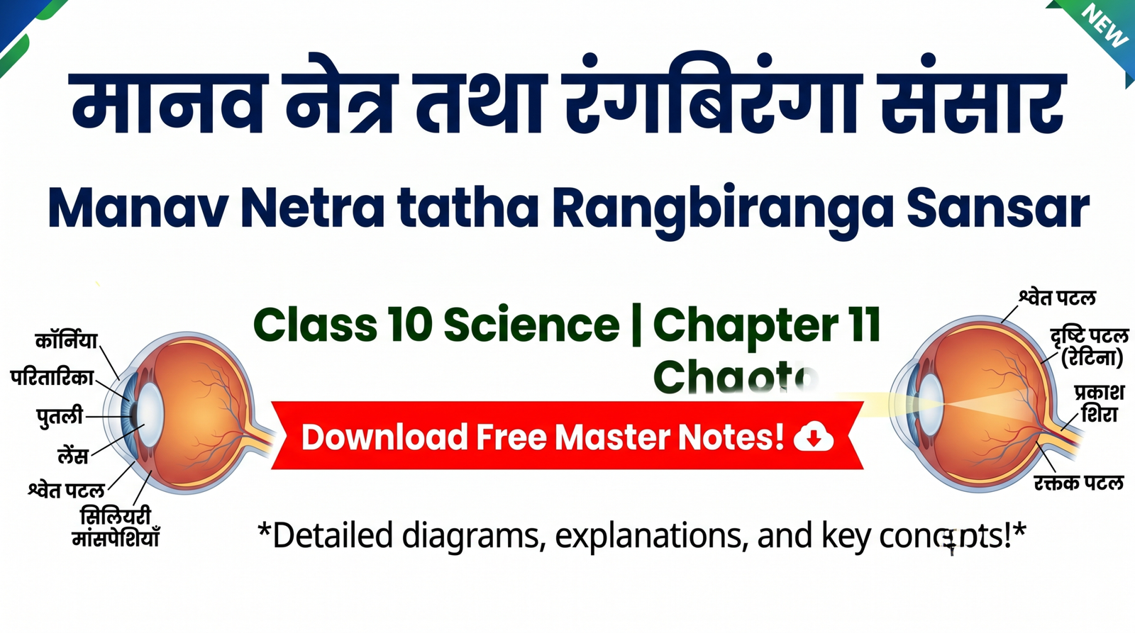 Manav Netra tatha Rangbiranga Sansar Class 10 Science Chapter 11 Downlaod Free Moster Notes