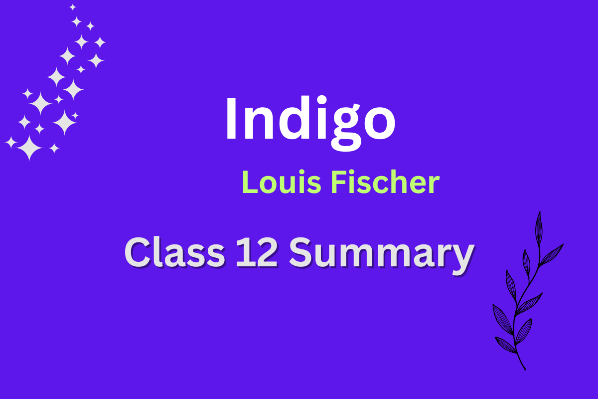 indigo class 12 summary