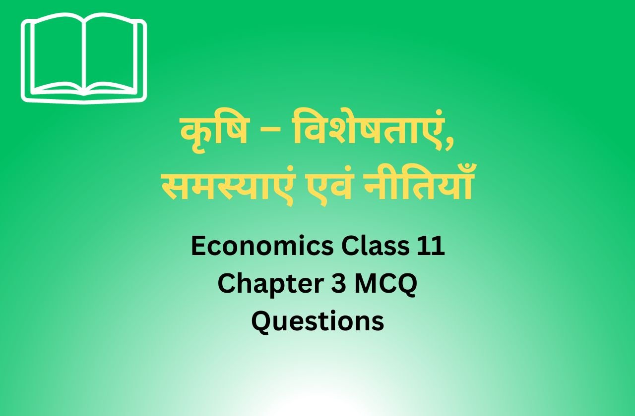 Economics Class 11 Chapter 3 MCQ Questions