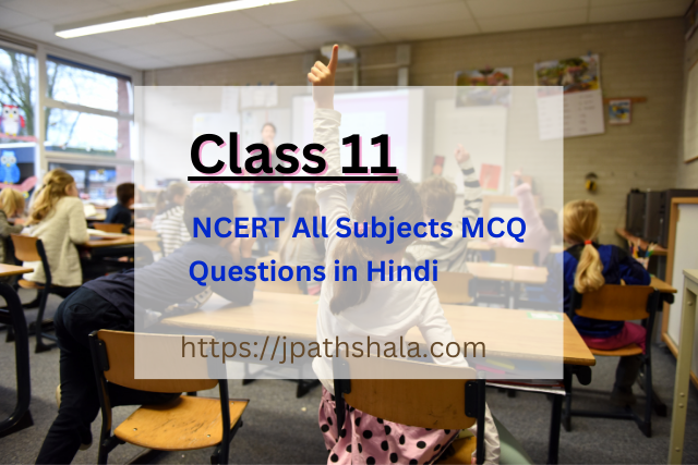 Class 11 MCQ Questions in Hindi